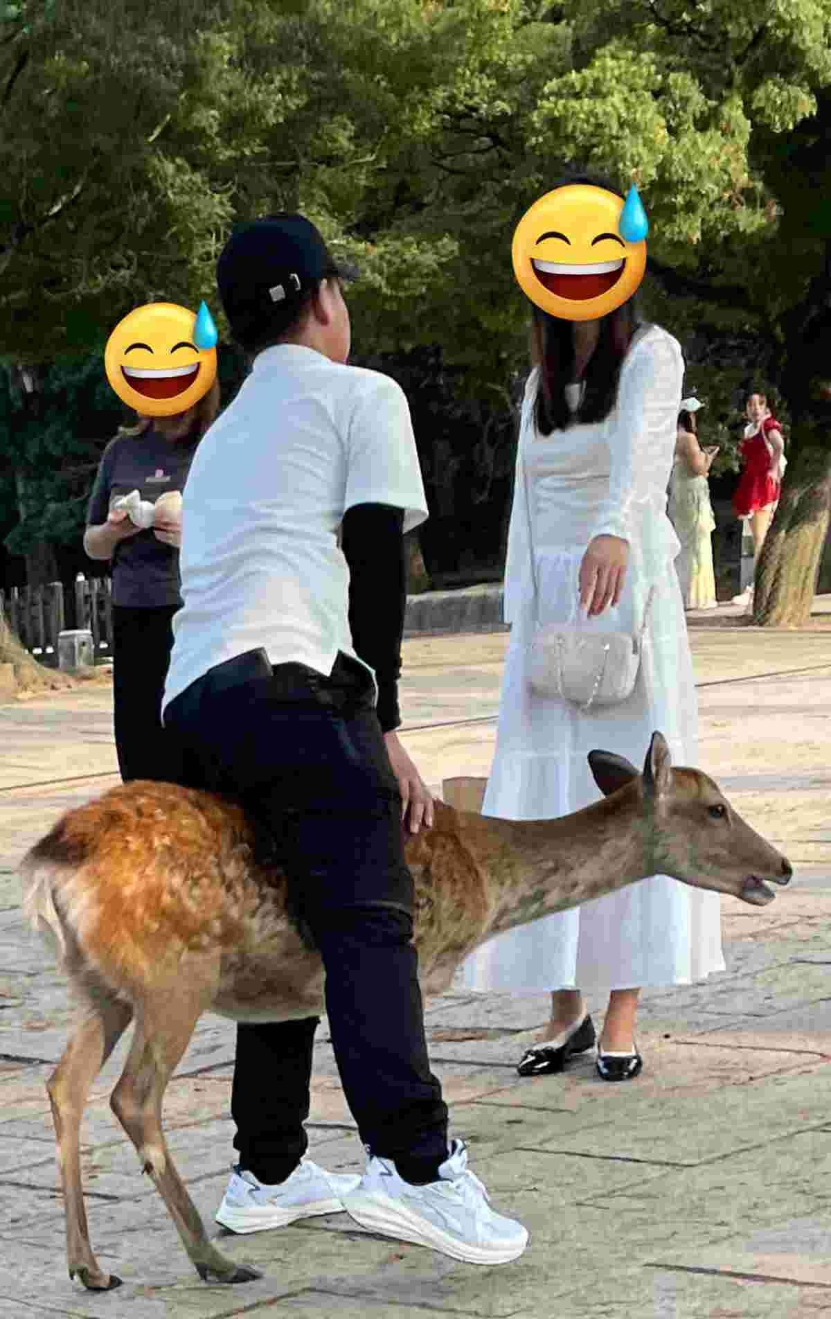 レス3番の画像2